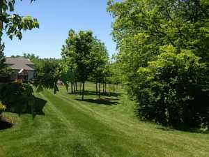 7771 Wareham Dr, Dublin, OH 43016 photo 6