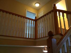7771 Wareham Dr, Dublin, OH 43016 photo 11