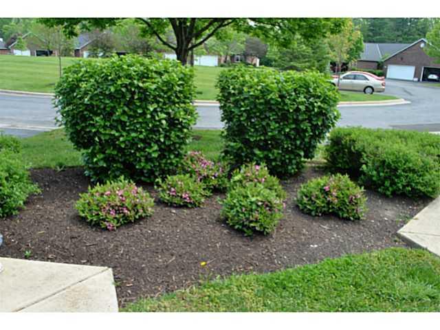 181 Hanover Ct, Delaware, OH 43015 photo 2