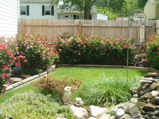 3315 Everson Rd, Columbus, OH 43232 photo 23