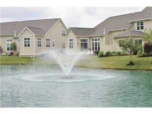 6889 Foresthaven Loop, Dublin, OH 43016 photo 24