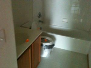 4072 Grayson Dr, Obetz, OH 43207 photo 11