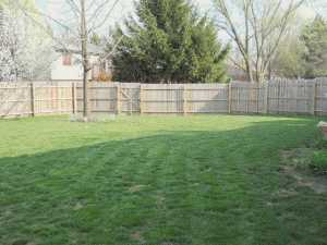 8752 John John Ct, Powell, OH 43065 photo 4
