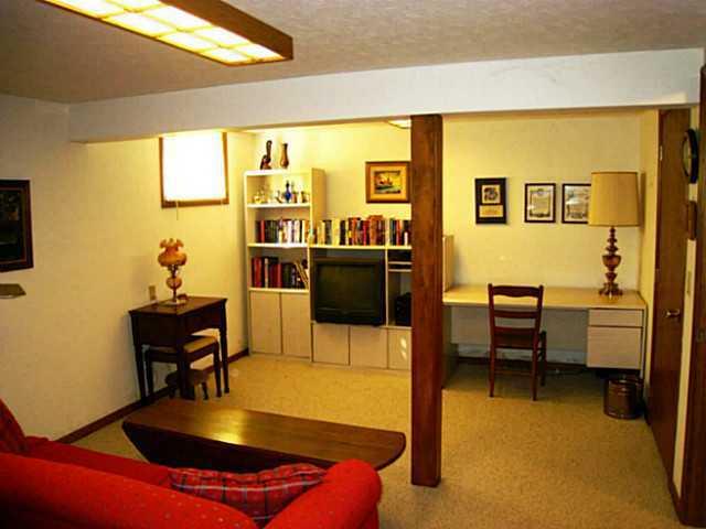 1096 Chatham Ln E, Delaware, OH 43015 photo 14