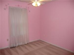 260 Firestone Dr, Delaware, OH 43015 photo 20
