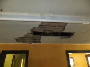 236 Tulane Rd, Columbus, OH 43202 photo 3