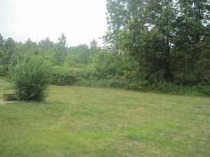 1160 Crestview Dr, Crestline, OH 44827 photo 4