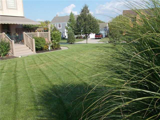7775 Brandonway Dr, Dublin, OH 43017 photo 3