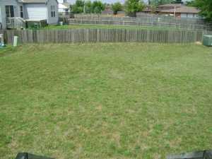 116 Limetree Dr, Delaware, OH 43015 photo 13