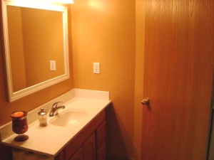 116 Limetree Dr, Delaware, OH 43015 photo 12