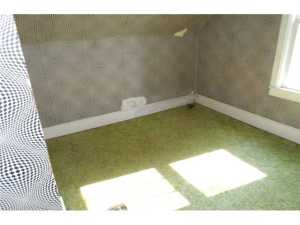 428 State St, Edison, OH 43320 photo 9