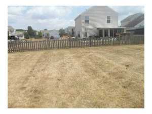988 Schauer Dr, Galloway, OH 43119 photo 11