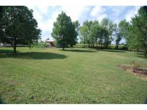 305 E Hale St, Ridgeway, OH 43345 photo 13