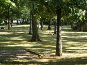 29469 Wolfe Rd, Circleville, OH 43113 photo 24