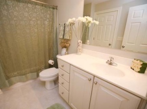 6882 Foresthaven Loop, Dublin, OH 43016 photo 20