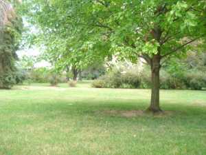 128 S Tecumseh Rd, Springfield, OH 45506 photo 19