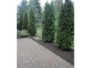 5941 Dunabbey Loop, Dublin, OH 43017 photo 24