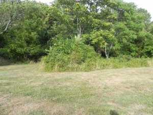 10770 Walnut Dowler Rd, Logan, OH 43138 photo 9