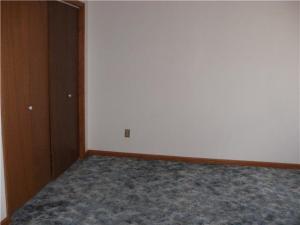 121 Rustic Dr, Circleville, OH 43113 photo 7