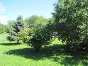 105 Shortline St, Edison, OH 43320 photo 6