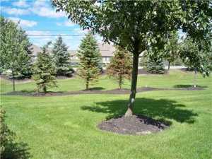 3696 Echo Pl, Powell, OH 43065 photo 9