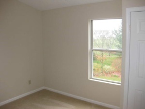 109 Chenango Dr, Powell, OH 43065 photo 8