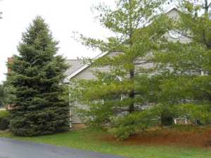 548 Brickstone Dr, Delaware, OH 43015 photo 3