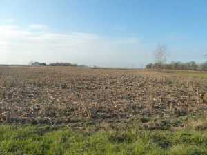 20147 Hill Rd, Circleville, OH 43113 photo 3