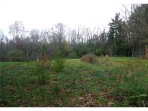 134 Coover Rd, Delaware, OH 43015 photo 4