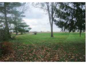 134 Coover Rd, Delaware, OH 43015 photo 2