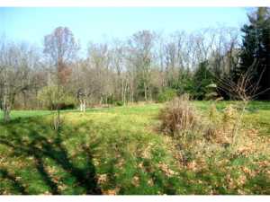 134 Coover Rd, Delaware, OH 43015 photo 5