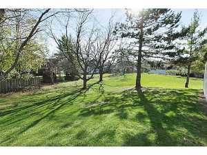 374 Edinburgh Rd, Dublin, OH 43017 photo 22