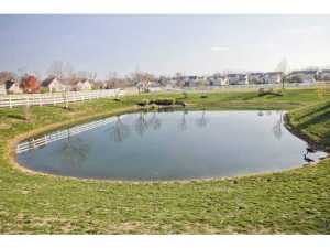 403 Charles Spring Dr, Powell, OH 43065 photo 24