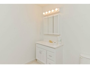 403 Charles Spring Dr, Powell, OH 43065 photo 13