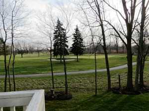 6837 Vineyard Haven Loop, Dublin, OH 43017 photo 25
