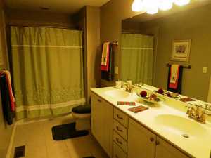 6837 Vineyard Haven Loop, Dublin, OH 43017 photo 21