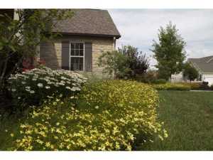 6784 Trafalgar Loop, Dublin, OH 43016 photo 25