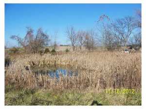 28008 Shoemaker Rd, Circleville, OH 43113 photo 7