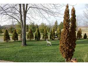 175 Yocom Rd, Cable, OH 43009 photo 25