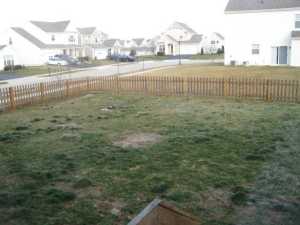 357 Timbersmith Dr, Delaware, OH 43015 photo 4
