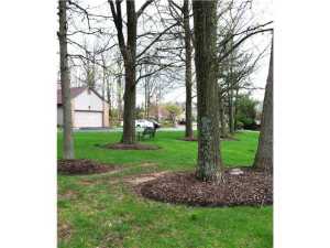 7779 Bartles Ave, Dublin, OH 43017 photo 8