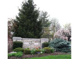 7779 Bartles Ave, Dublin, OH 43017 photo 9