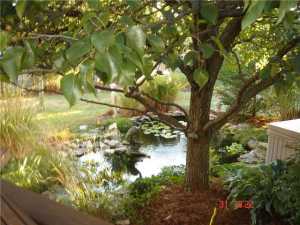 8425 Eldorado Dr, Powell, OH 43065 photo 23