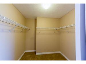 226 Brenden Loop, Delaware, OH 43015 photo 11
