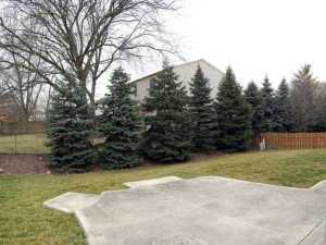 2943 Splitrock Rd, Columbus, OH 43221 photo 21