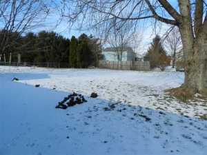 300 Cobblestone Dr, Delaware, OH 43015 photo 2