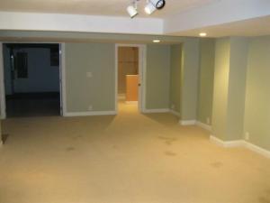 4931 Rays Cir, Dublin, OH 43016 photo 22