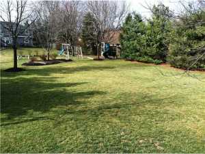 7061 Cavalry Ct, Dublin, OH 43017 photo 3