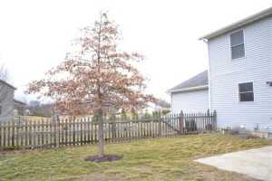 3367 Maple Grove Rd, Springfield, OH 45504 photo 9