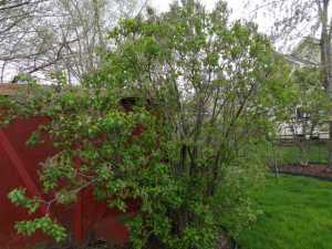 468 E Markison Ave, Columbus, OH 43207 photo 24